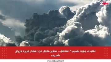 تقلبات جوية تضرب 7 مناطق.. تحذير عاجل من أمطار غزيرة ورياح شديدة
